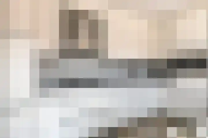 Nieuwe Hescheweg 26 Oss thumbnail 8