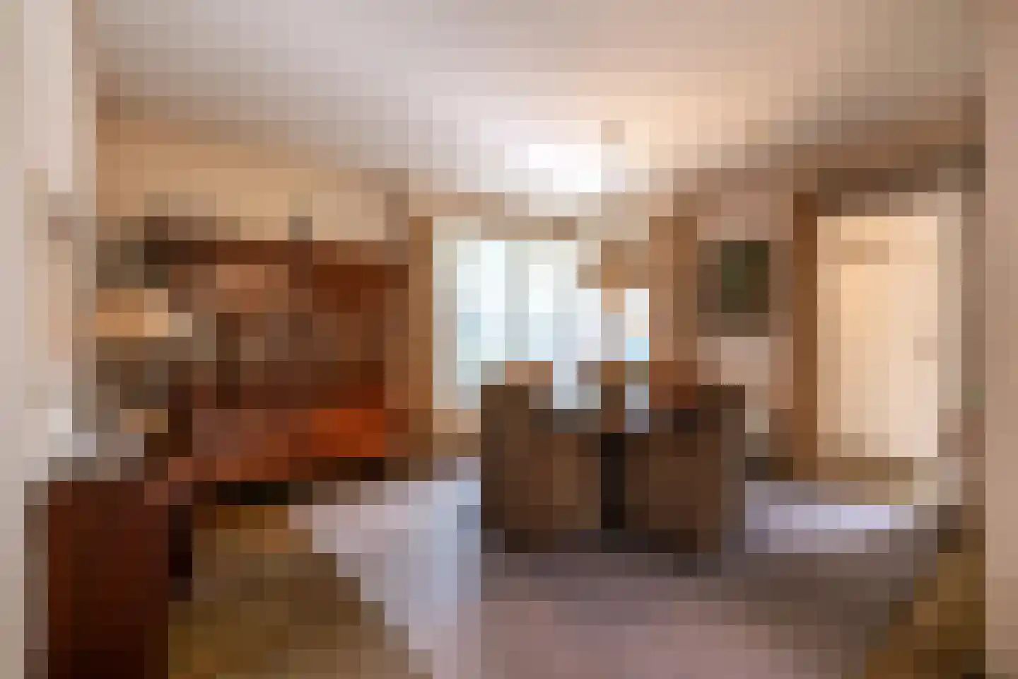 Nieuwe Hescheweg 43 Oss thumbnail 11
