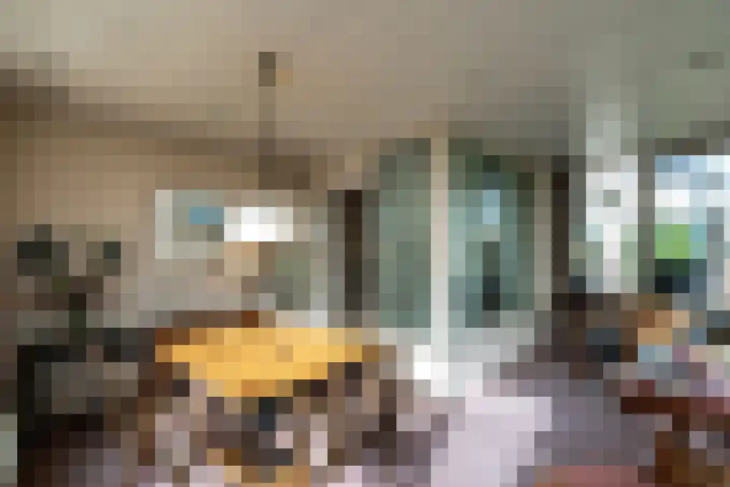 Nieuwe Hescheweg 43 Oss thumbnail 14