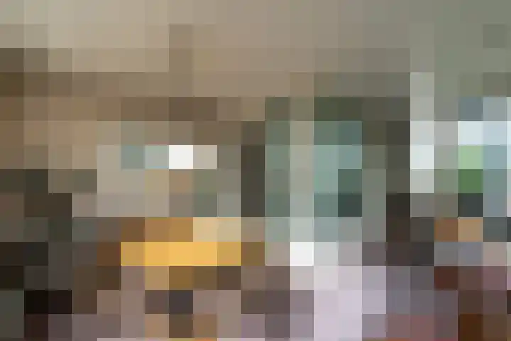 Nieuwe Hescheweg 43 Oss thumbnail 14