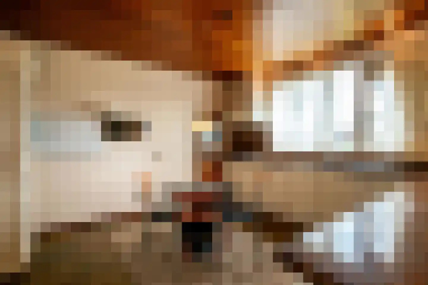 Nieuwe Hescheweg 43 Oss thumbnail 15