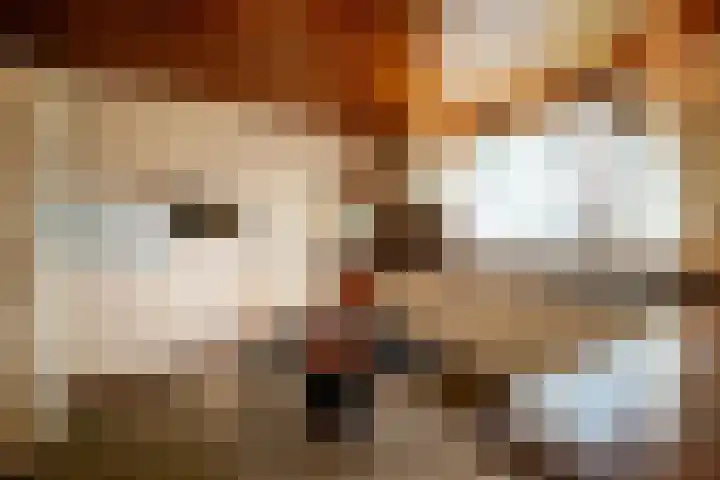 Nieuwe Hescheweg 43 Oss thumbnail 15