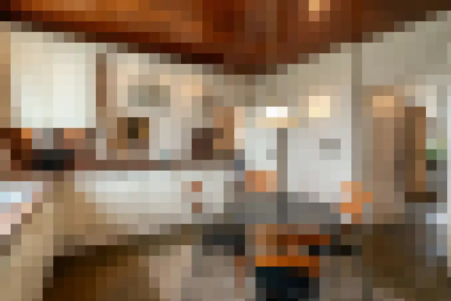 Nieuwe Hescheweg 43 Oss thumbnail 16