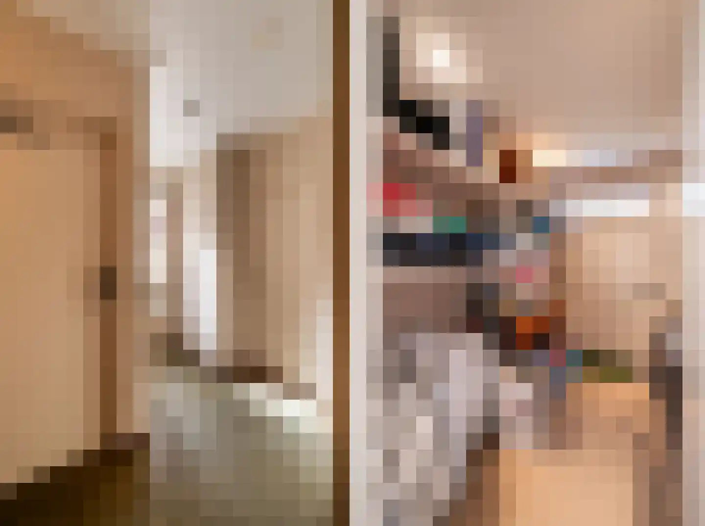 Nieuwe Hescheweg 43 Oss thumbnail 17
