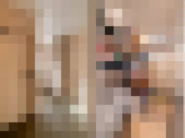 Nieuwe Hescheweg 43 Oss thumbnail 17