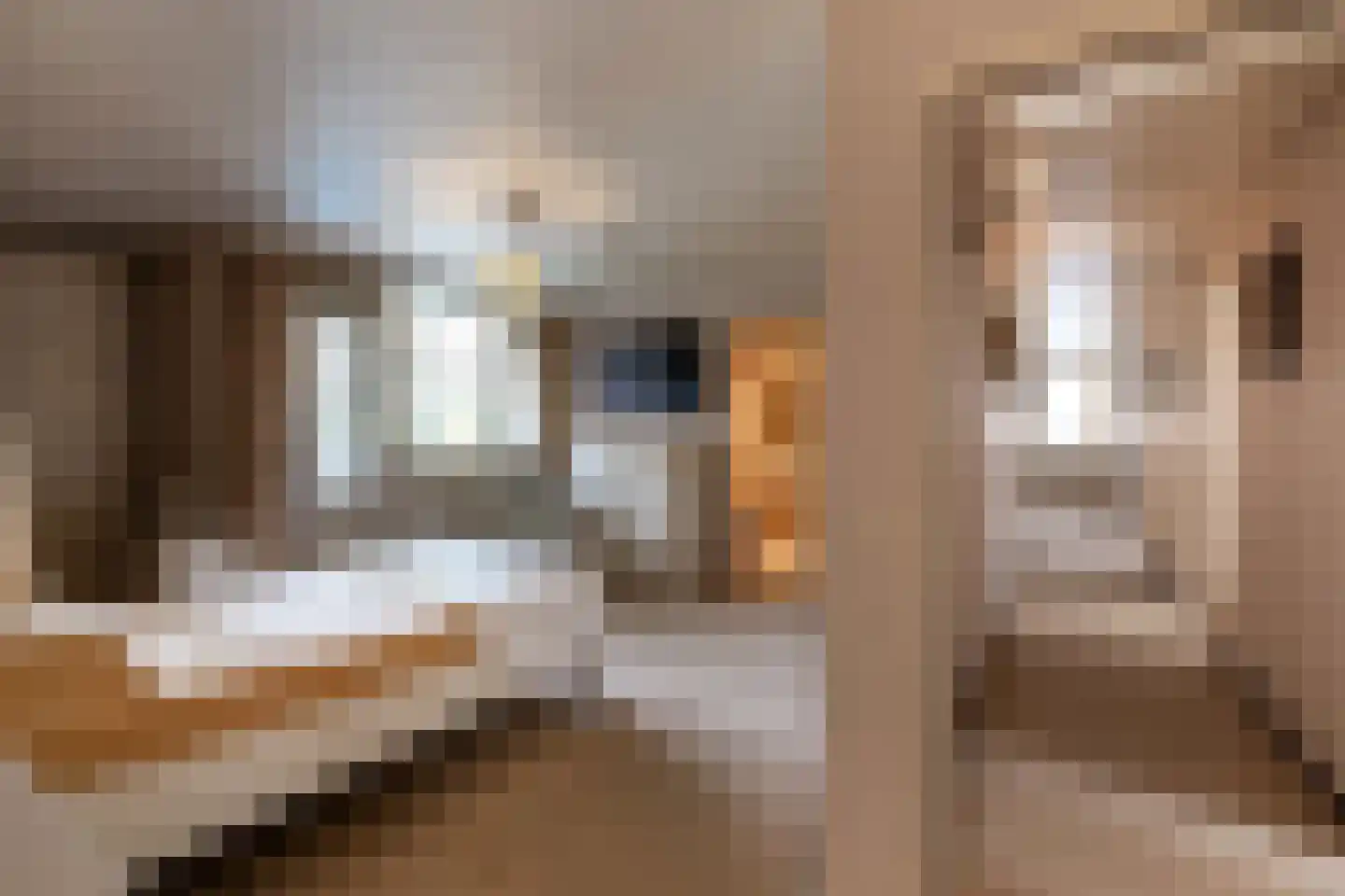 Nieuwe Hescheweg 43 Oss thumbnail 19