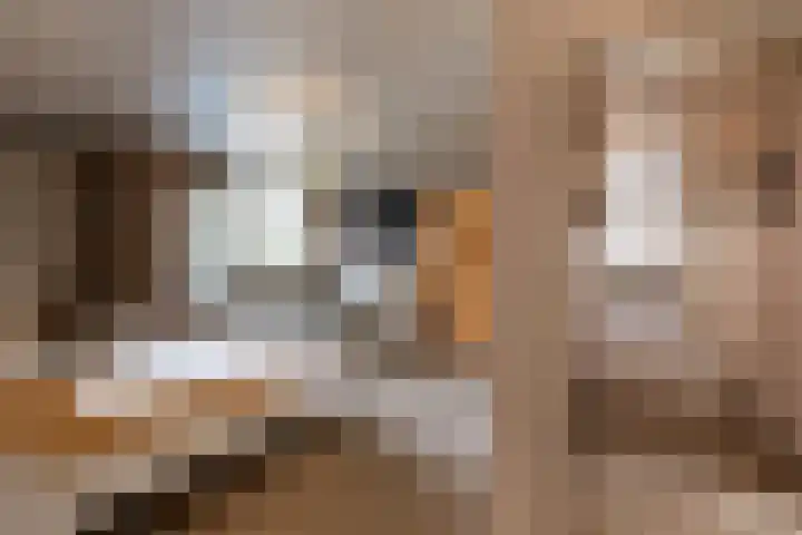 Nieuwe Hescheweg 43 Oss thumbnail 19