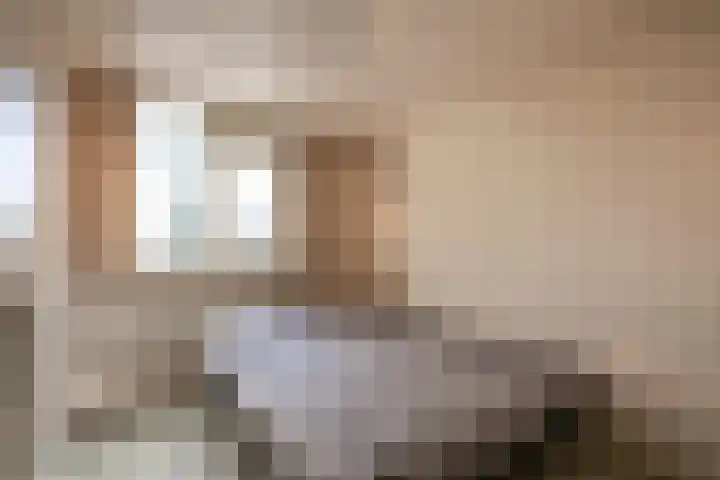 Nieuwe Hescheweg 43 Oss thumbnail 21