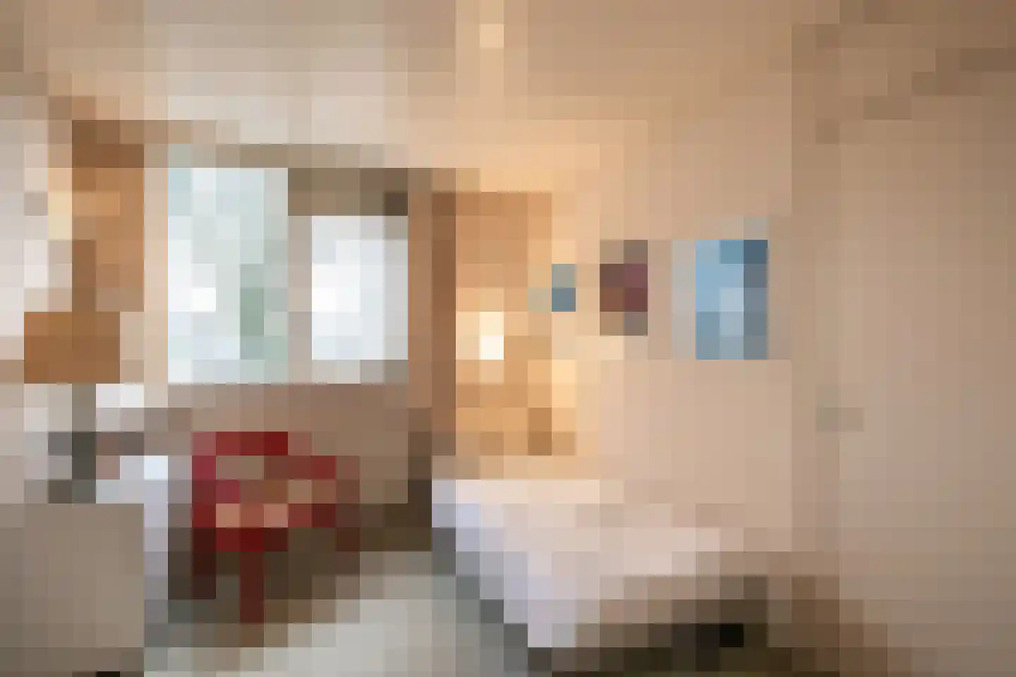 Nieuwe Hescheweg 43 Oss thumbnail 23