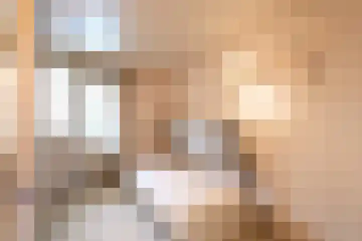 Nieuwe Hescheweg 43 Oss thumbnail 26