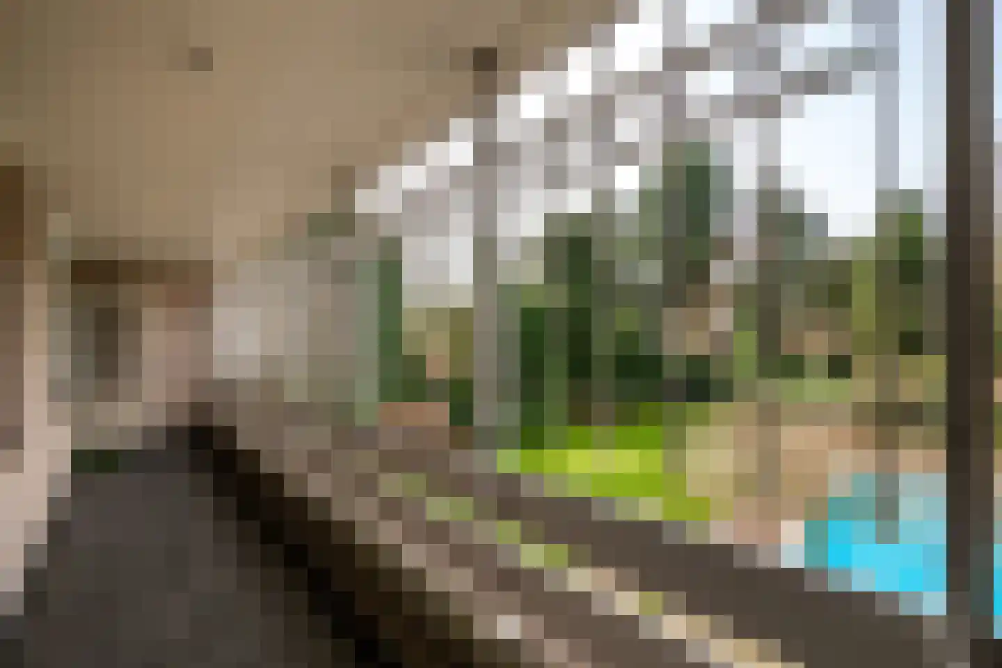 Nieuwe Hescheweg 43 Oss thumbnail 27