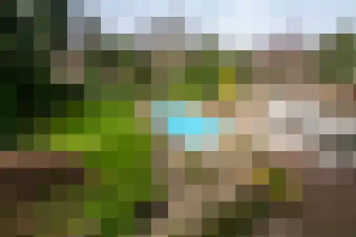 Nieuwe Hescheweg 43 Oss thumbnail 28