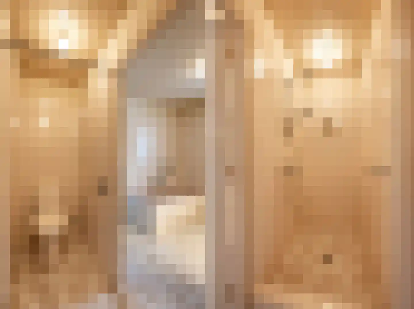 Nieuwe Hescheweg 43 Oss thumbnail 29
