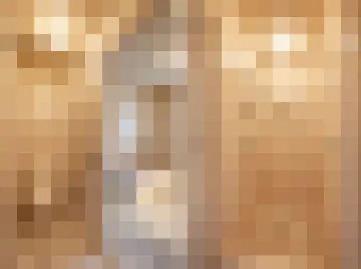 Nieuwe Hescheweg 43 Oss thumbnail 29