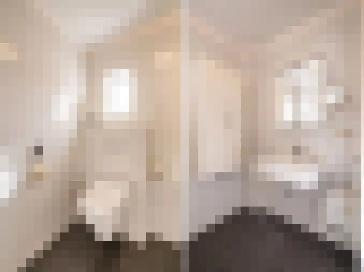Nieuwe Hescheweg 43 Oss thumbnail 32