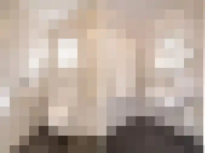 Nieuwe Hescheweg 43 Oss thumbnail 32