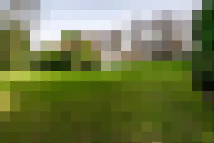 Nieuwe Hescheweg 43 Oss thumbnail 33