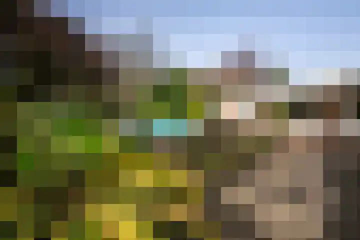 Nieuwe Hescheweg 43 Oss thumbnail 34