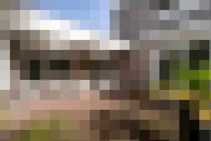 Nieuwe Hescheweg 43 Oss thumbnail 35
