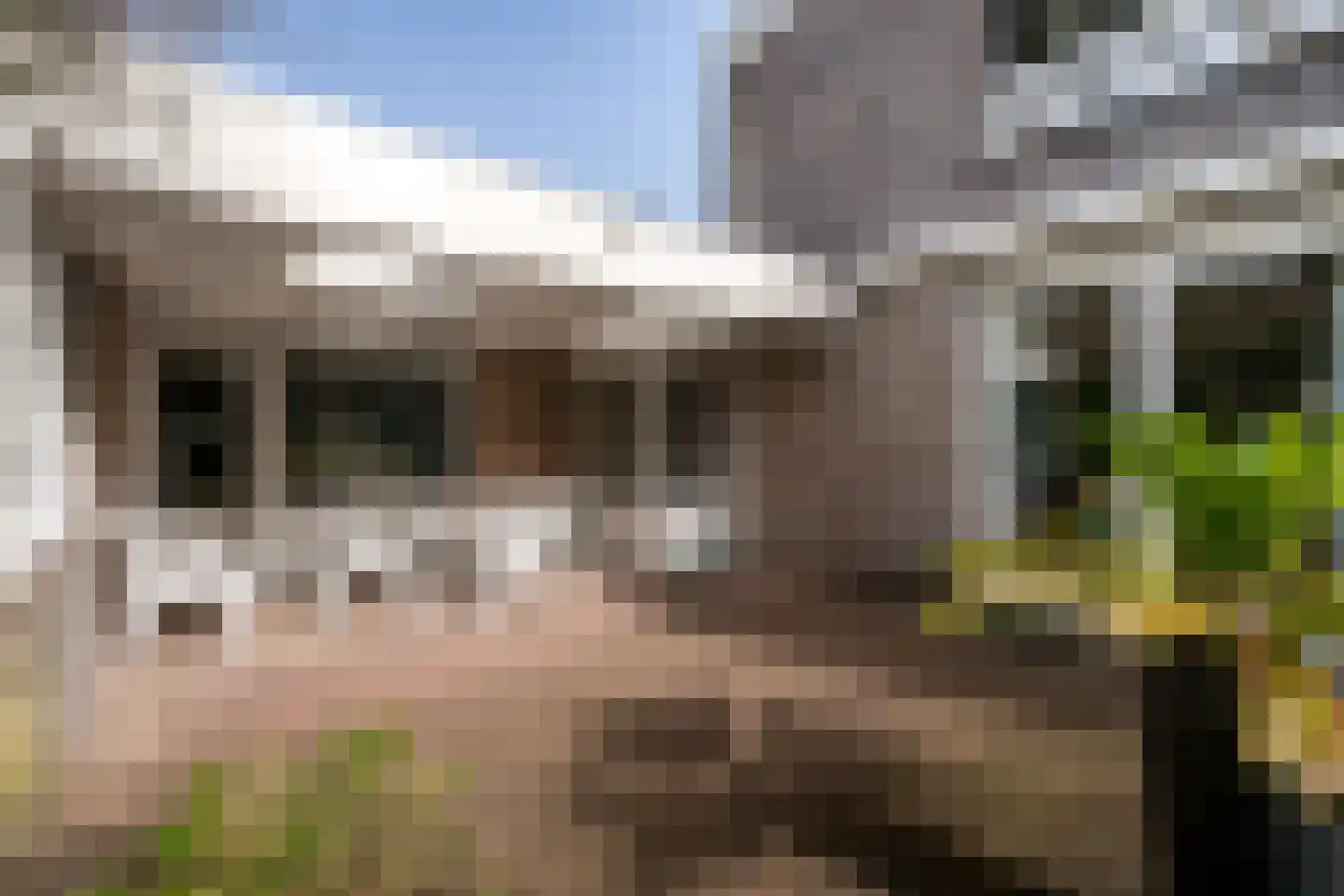 Nieuwe Hescheweg 43 Oss thumbnail 35