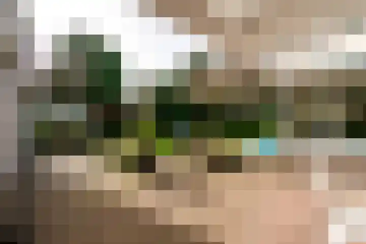 Nieuwe Hescheweg 43 Oss thumbnail 36