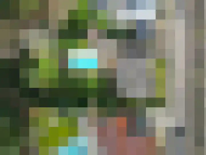 Nieuwe Hescheweg 43 Oss thumbnail 39