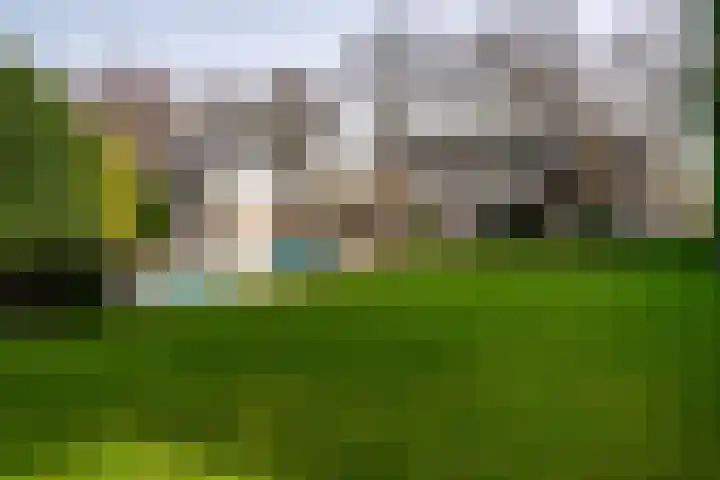 Nieuwe Hescheweg 43 Oss thumbnail 4