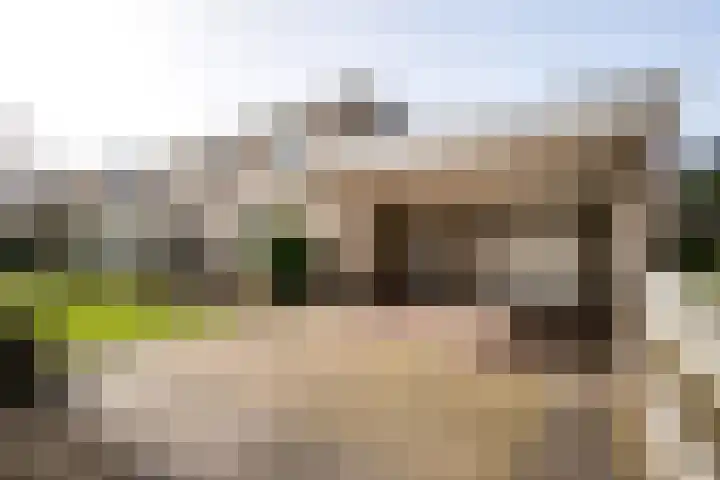 Nieuwe Hescheweg 43 Oss thumbnail 41