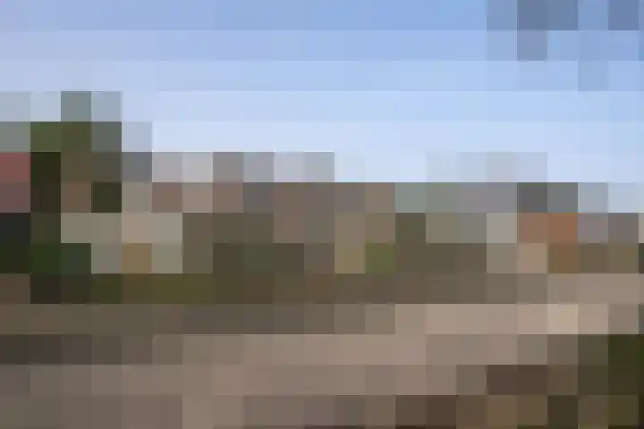 Nieuwe Hescheweg 43 Oss thumbnail 5