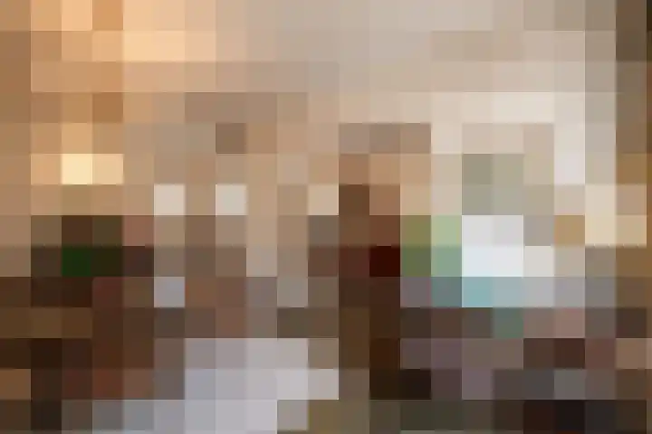 Nieuwe Hescheweg 43 Oss thumbnail 8