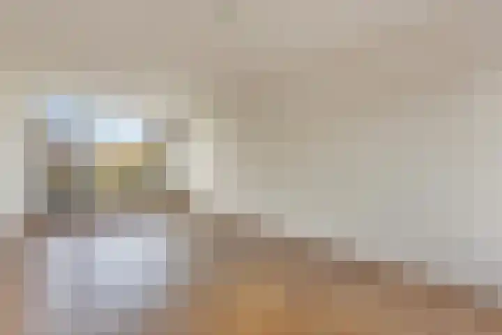 Nieuwe Hescheweg 5 E Oss thumbnail 10