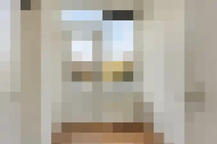 Nieuwe Hescheweg 5 E Oss thumbnail 17