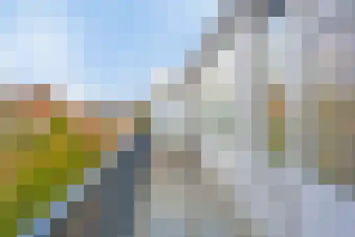 Nieuwe Hescheweg 5 E Oss thumbnail 18