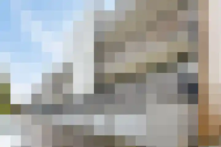 Nieuwe Hescheweg 5 E Oss thumbnail 24
