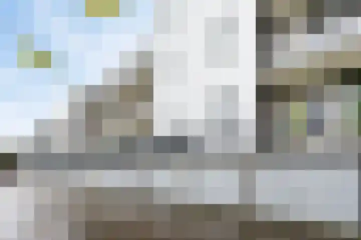 Nieuwe Hescheweg 5 E Oss thumbnail 26