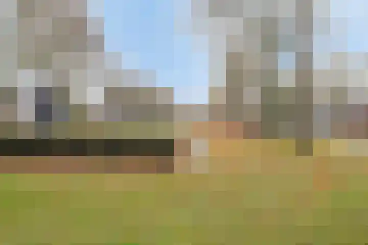 Nieuwe Hescheweg 5 E Oss thumbnail 29