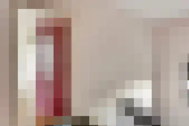 Nieuwe Hescheweg 5 E Oss thumbnail 7