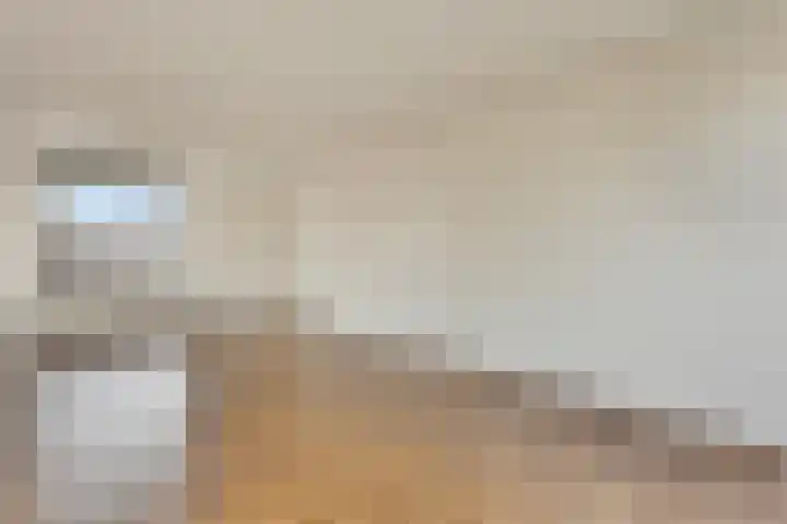 Nieuwe Hescheweg 5 E Oss thumbnail 8