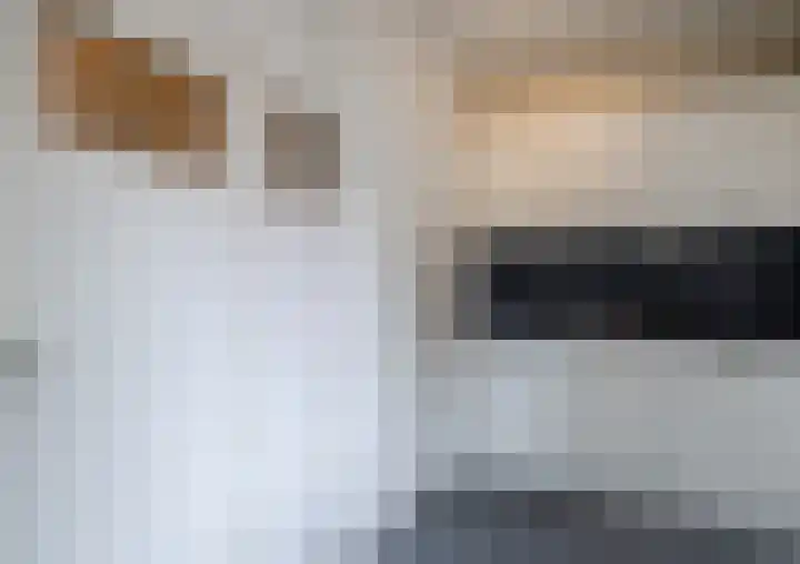 Nieuwe Hescheweg 5 M Oss thumbnail 13