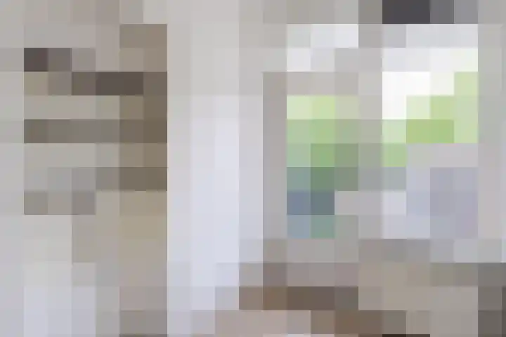 Nieuwe Hescheweg 5 M Oss thumbnail 23