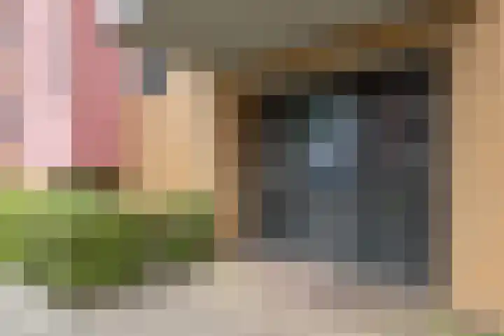 Nieuwe Hescheweg 5 M Oss thumbnail 6