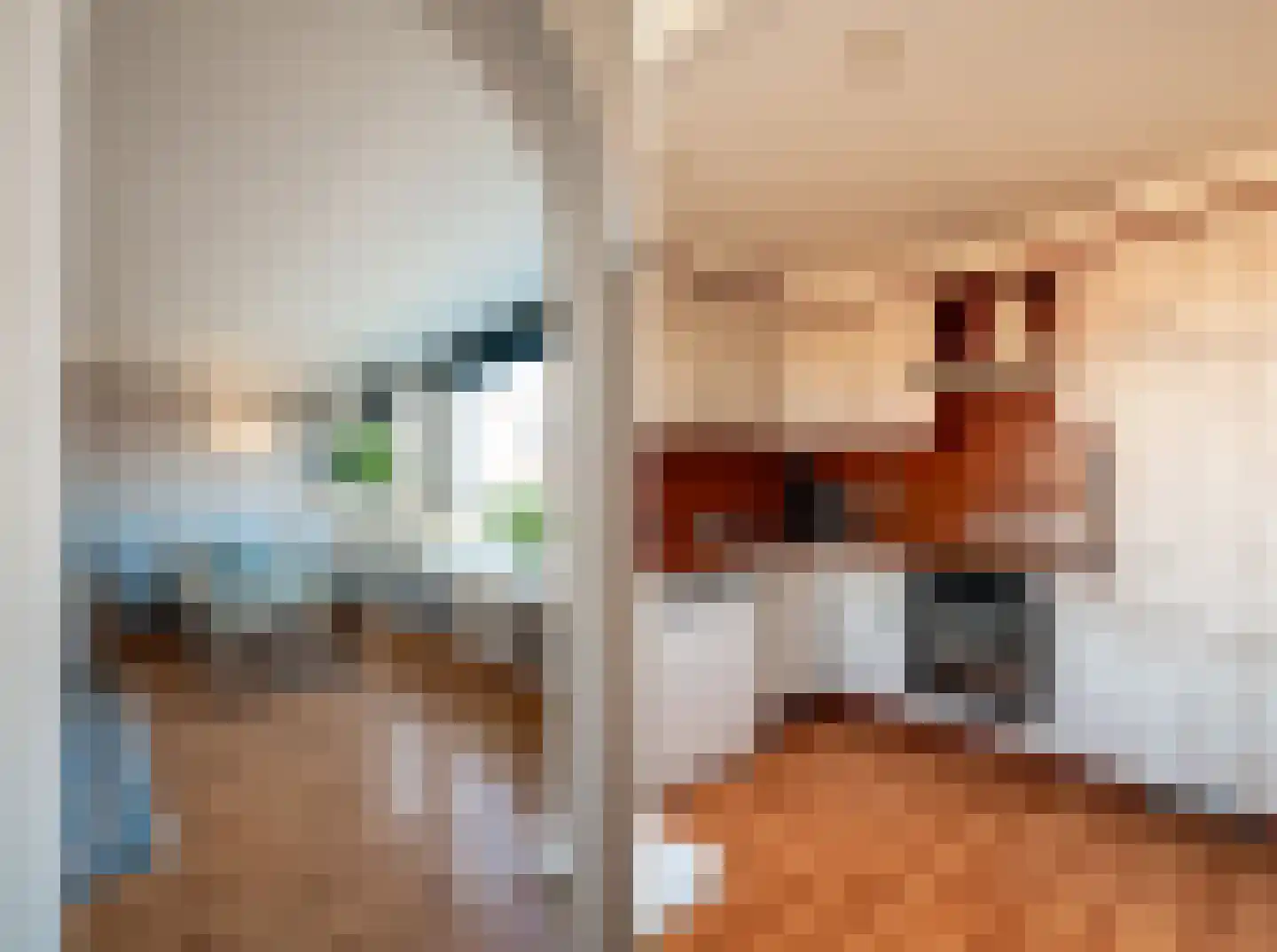 Nieuwe Hescheweg 56 Oss thumbnail 10