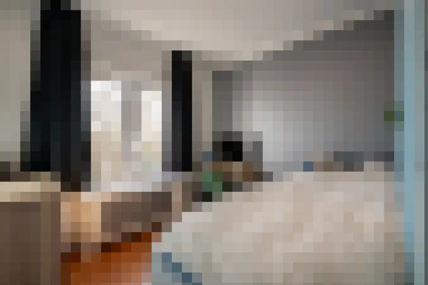 Nieuwe Hescheweg 56 Oss thumbnail 15
