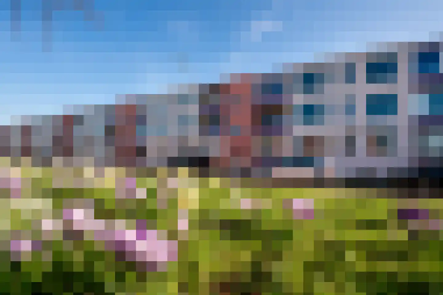 Nieuwe Hescheweg 56 Oss thumbnail 5