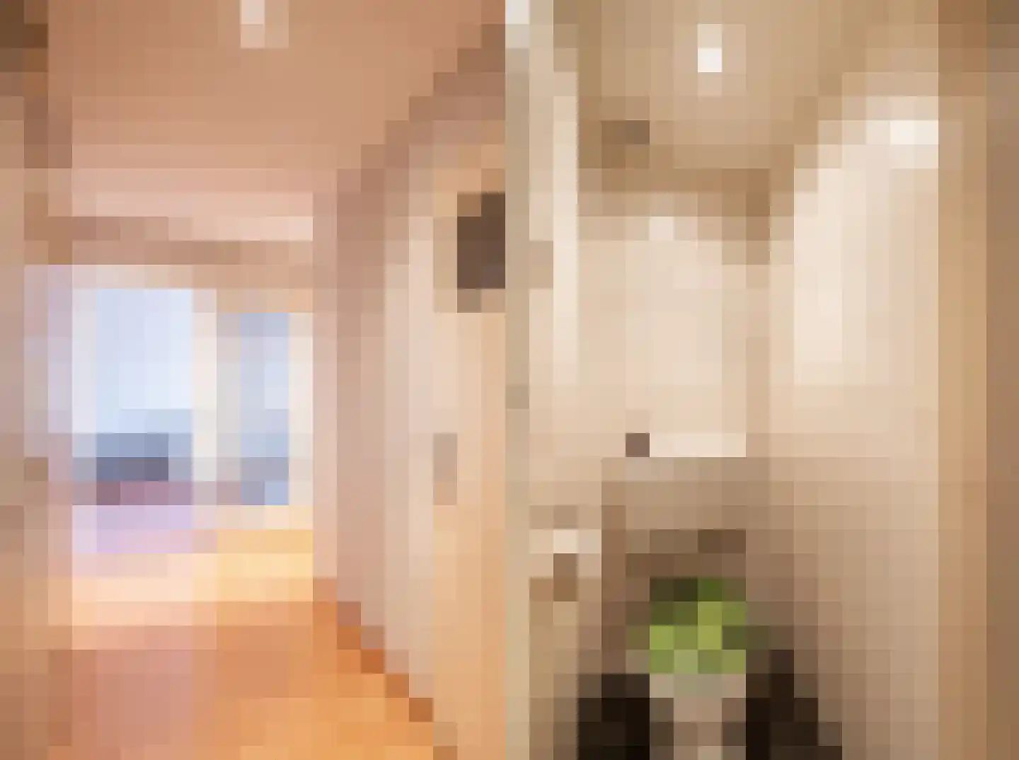Nieuwe Hescheweg 56 Oss thumbnail 6