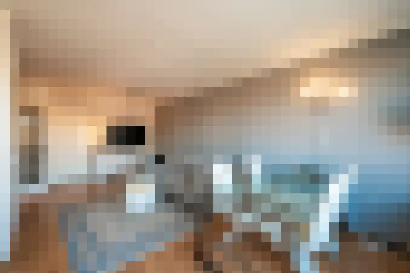 Nieuwe Hescheweg 56 Oss thumbnail 9