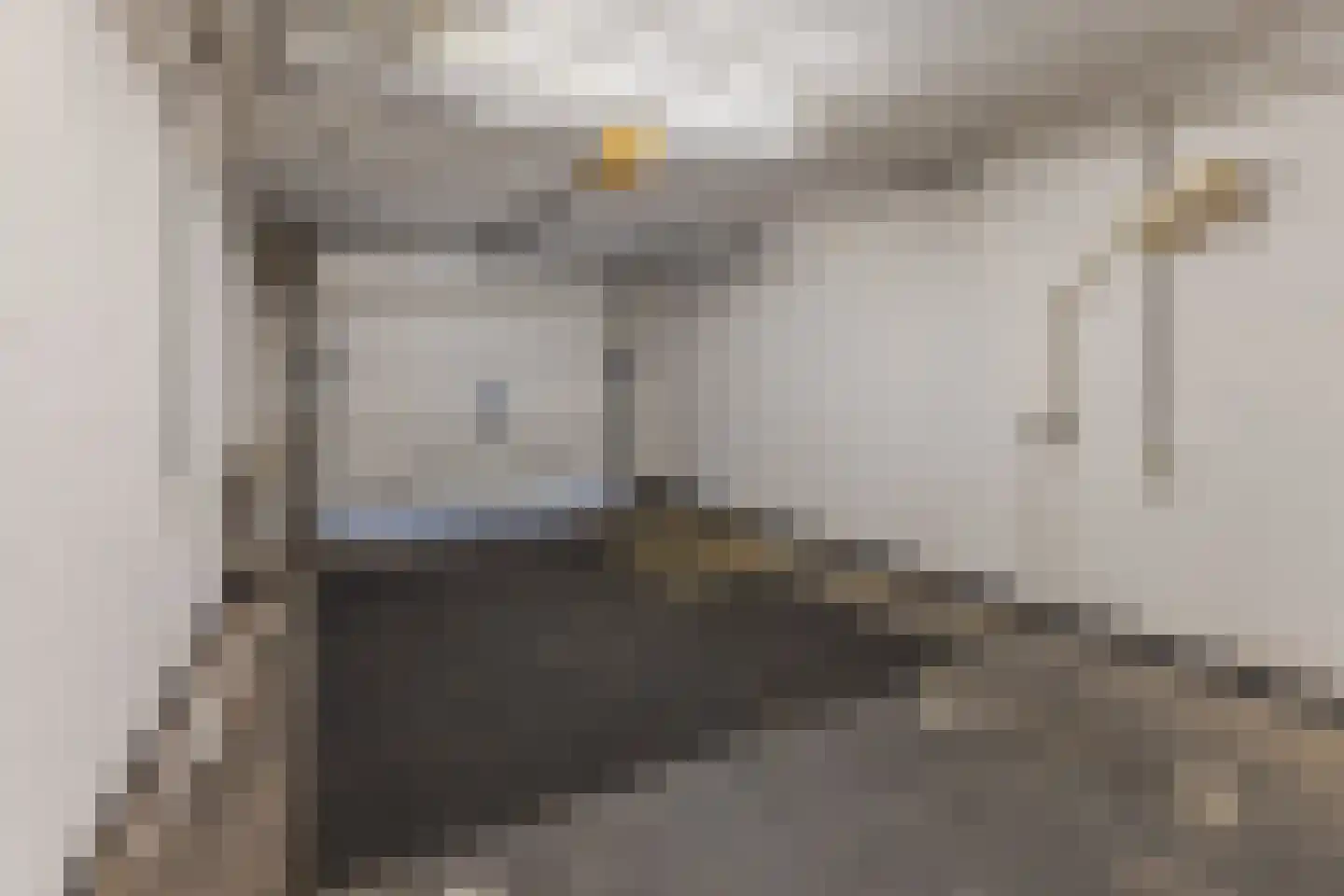 Nieuwe Hescheweg 60 Oss thumbnail 30