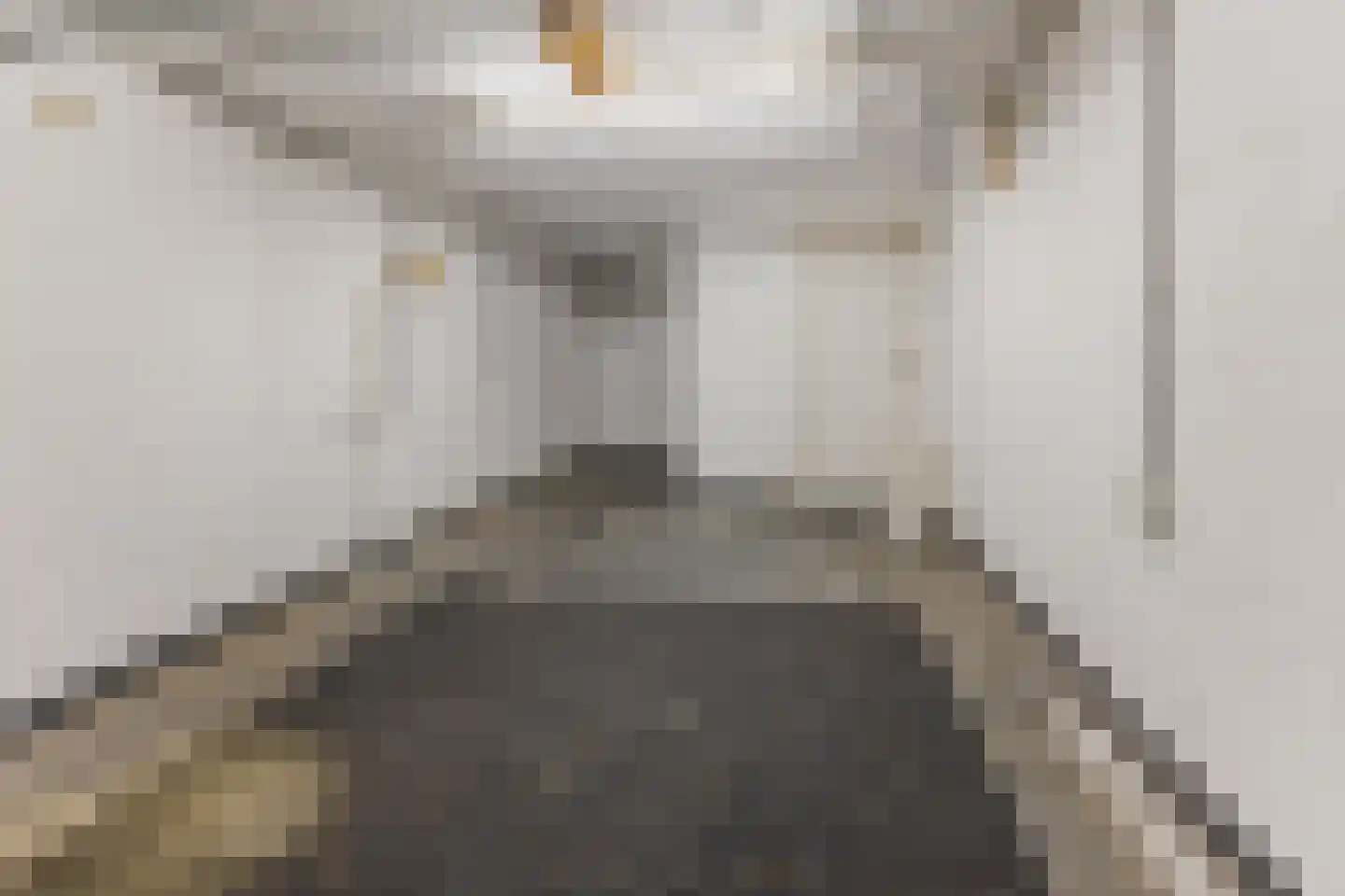 Nieuwe Hescheweg 60 Oss thumbnail 31