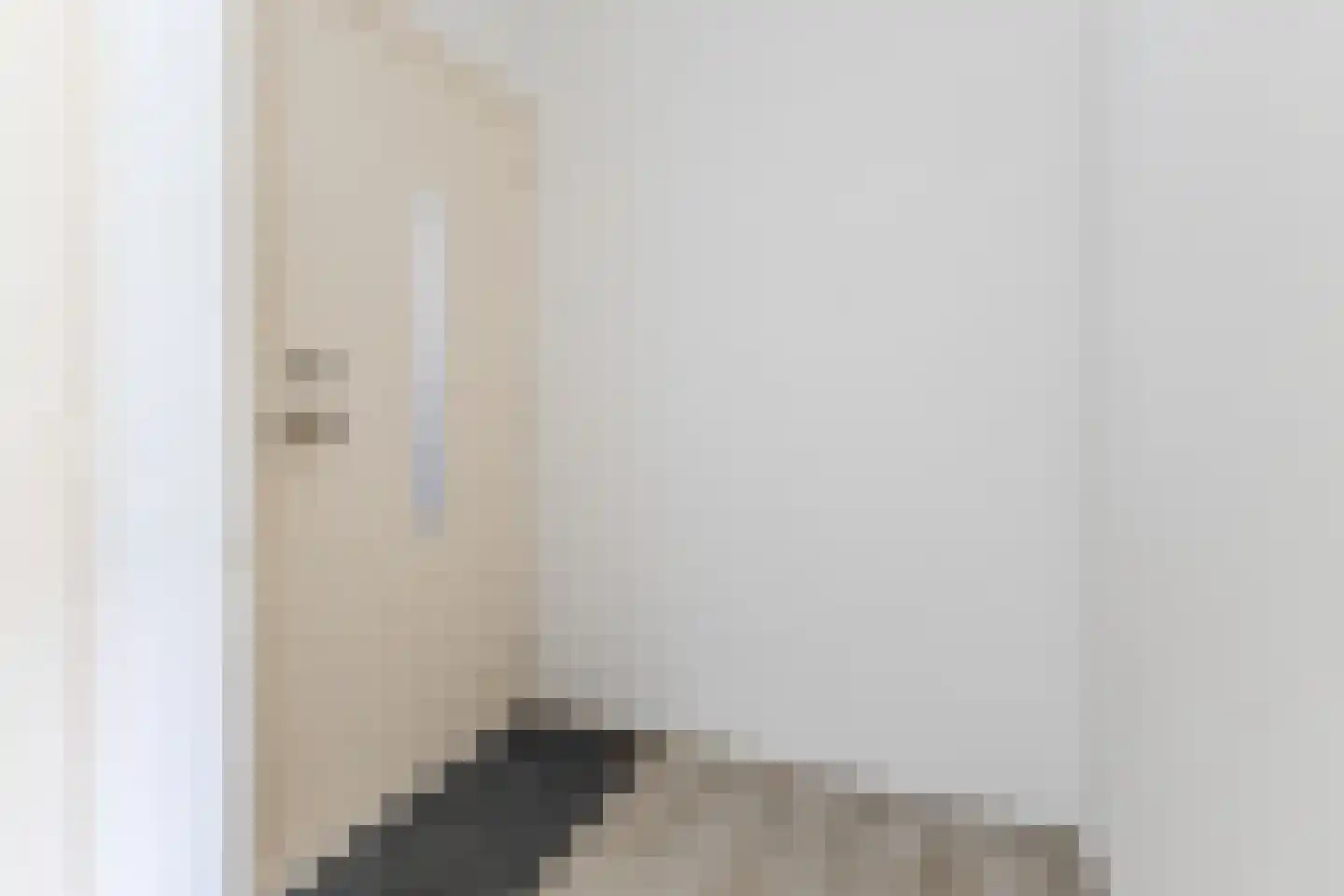 Nieuwe Hescheweg 60 Oss thumbnail 9