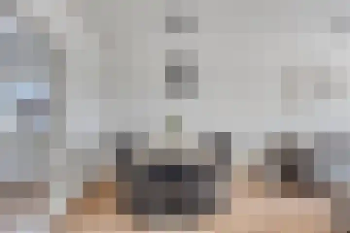 Nieuwe Hescheweg 68 Oss thumbnail 10